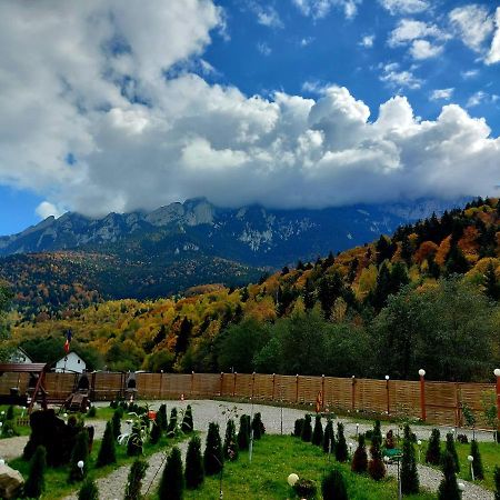 Aroa Mountain 4 Villa Zărneşti Exterior foto